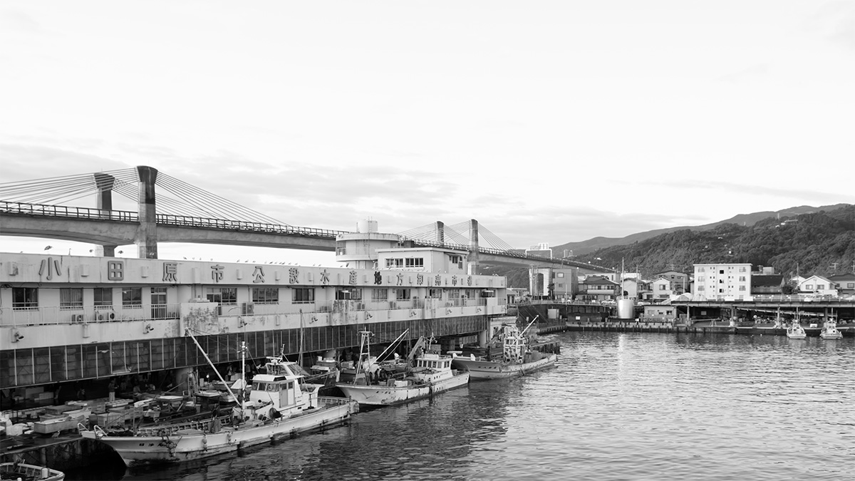 初めてのお客様へ｜魚商 小田原六左衛門（さかなや おだわらろく